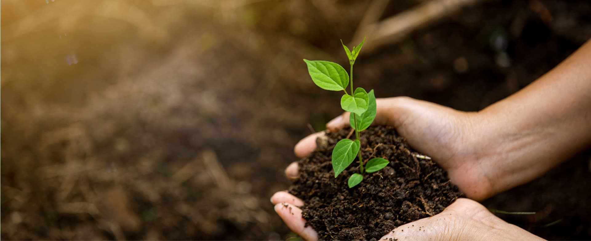 Environmental-Science-vs.-Ecology-2-scaled