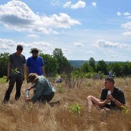 Field-planting-15
