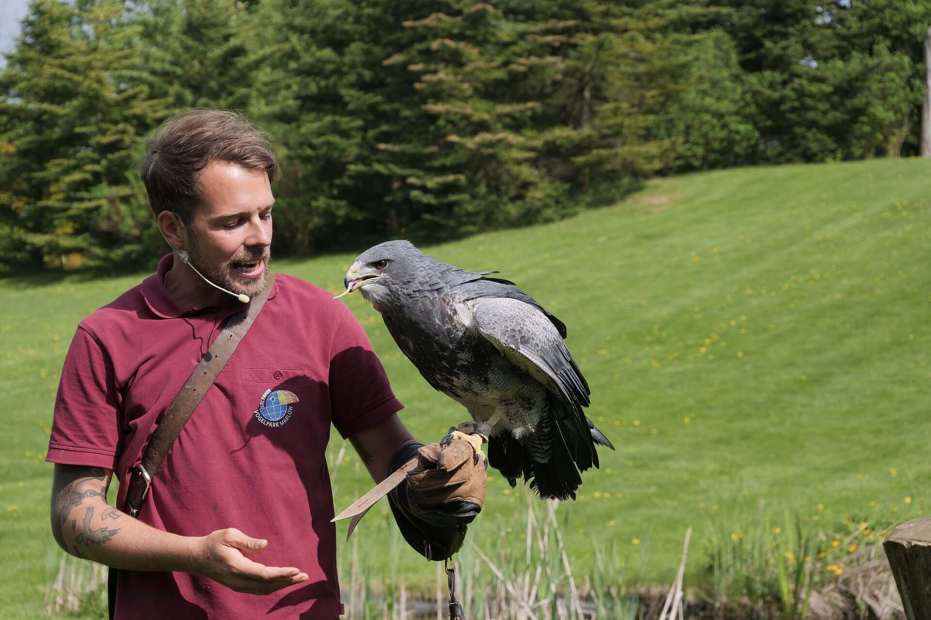 A man holding a large bird of prey