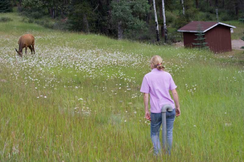 A Day in the Life of a Wildlife Biologist with a Professional Science Master’s