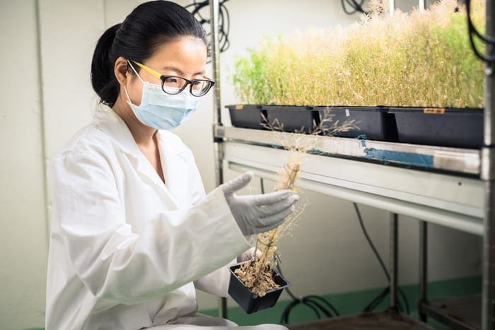 The Importance of Quantitative Methods in Environmental Science and Sustainability Measurement