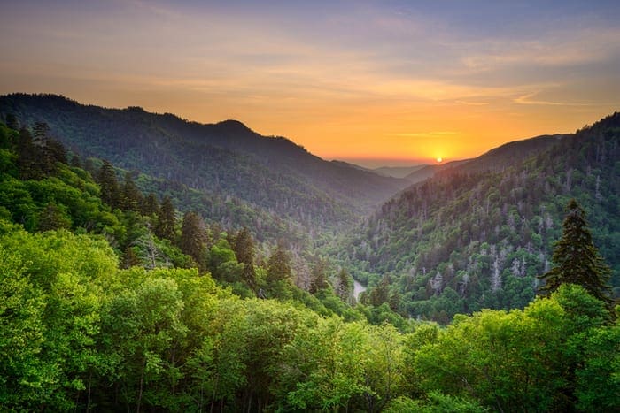 The Role of Land Use in Environmental Science and Sustainability