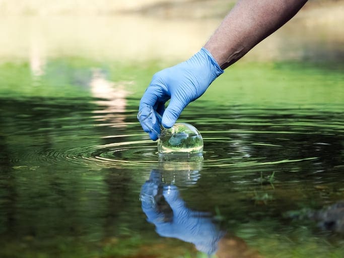 2 Reasons Hormones in Water Should Concern Students in Environmental Science Schools