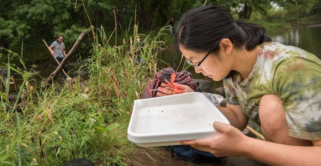 How Grads with a Sustainability Degree Can Respond to Climate Change Skeptics