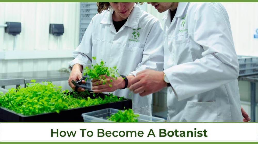 two botanists working with plants