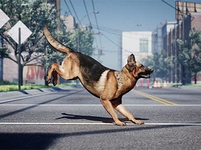 German Shepperd jumps in the street.