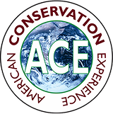 ace_logo_no_border3.5m_png_circle_5-1024×1024 2