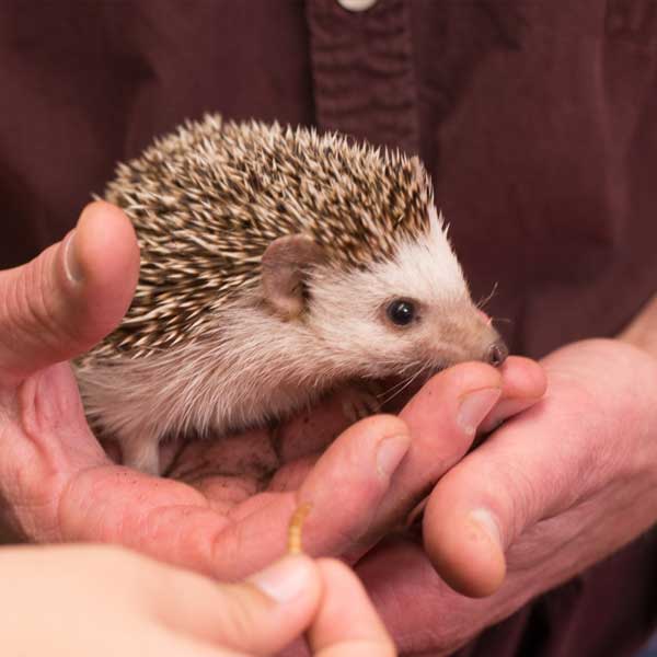 Unity hires new animal care professional