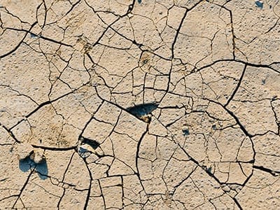 Dried cracked dirt.