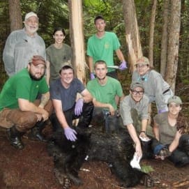 Unity College gets $15,000 to bolster black bear study