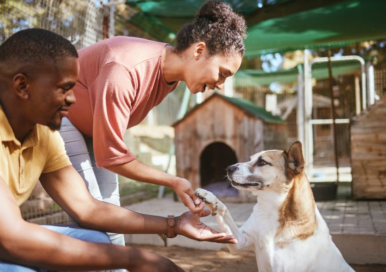 Couple with a dog in a shelter.