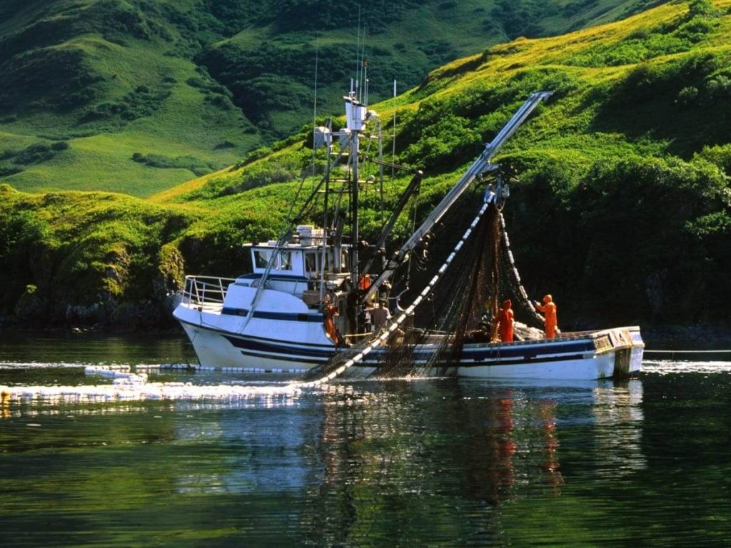 How to Leverage a Degree in Fisheries for a Rewarding Career