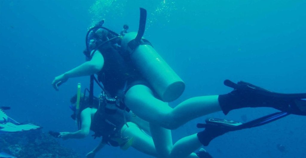 Unity College Marine Biology Student Wins National Award