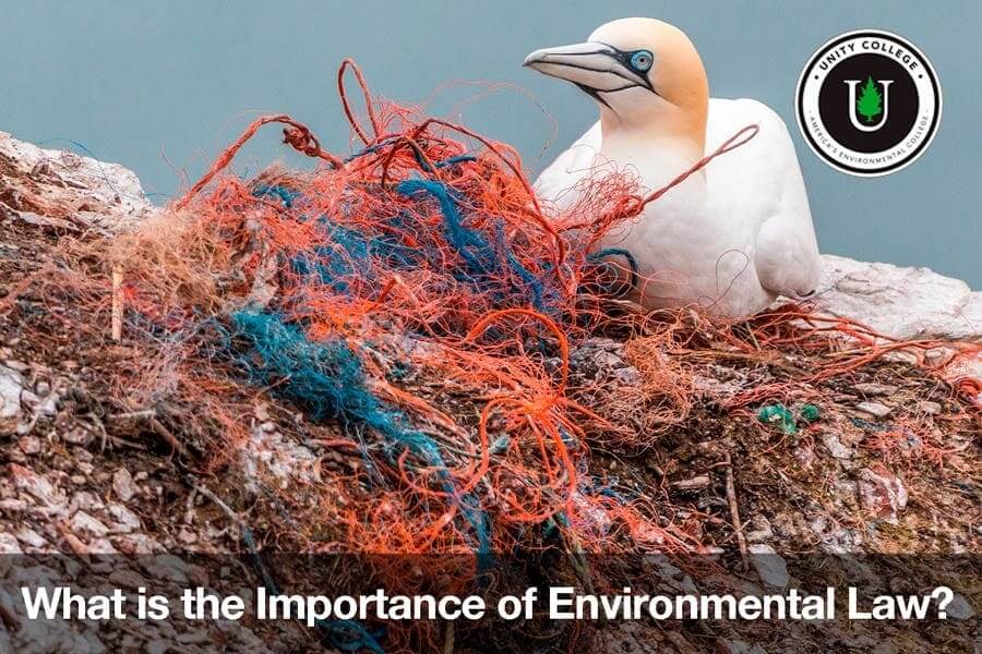 importance of environmental law