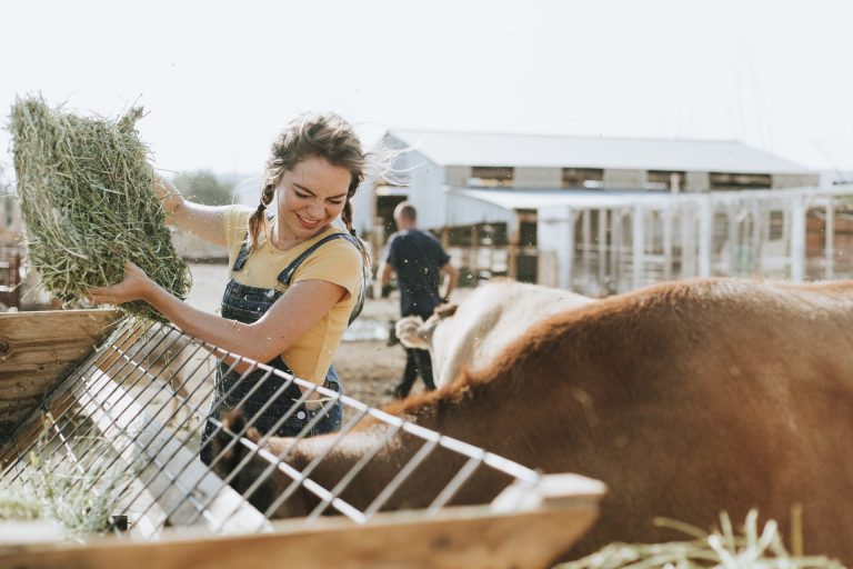 Farmer taking care of animals.