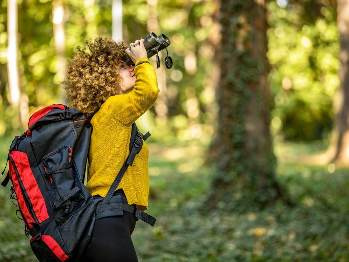 How to Turn Bird Watching Into a Job — Unity Environmental University