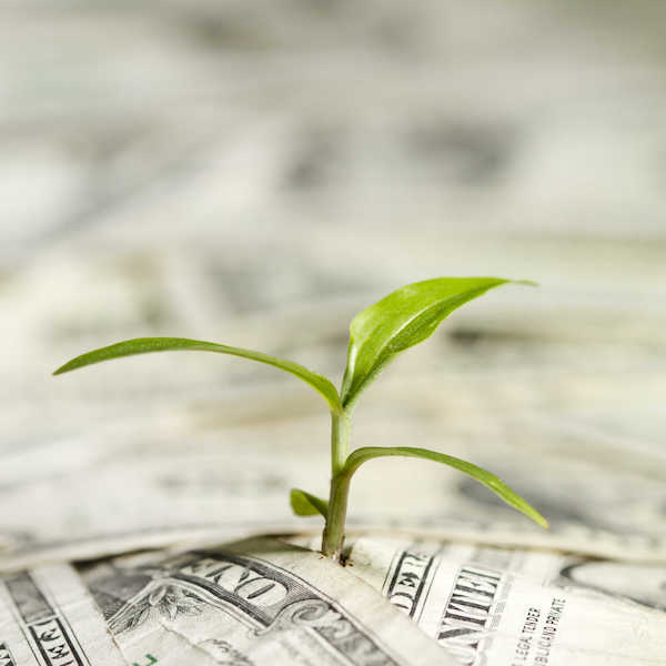 iStock-487784251_optimized-copy