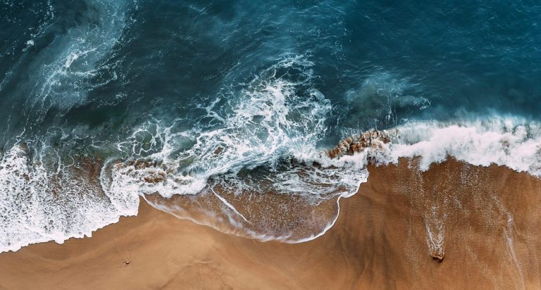 Marine Policy and Management