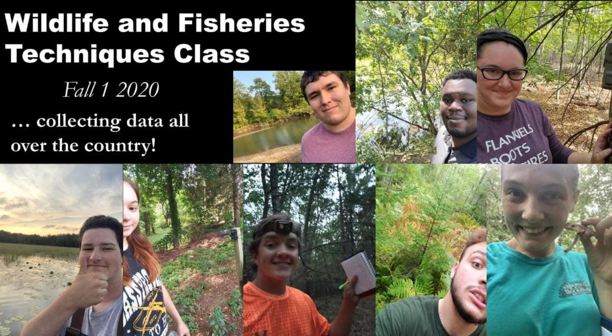 McKnight Class