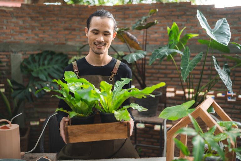 nature plant gardening hobby, happy man person lifestyle with growing flower green leaf and agriculture work in summer, environment concept at home in hobby
