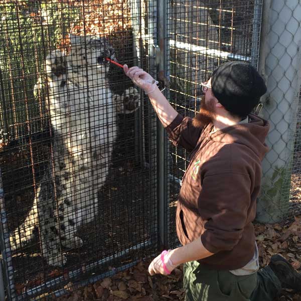 Rory Dwyer, Animal Keeper
