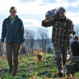 Ru Allen ’17 makes her gallery debut with “Harvesting Unity”