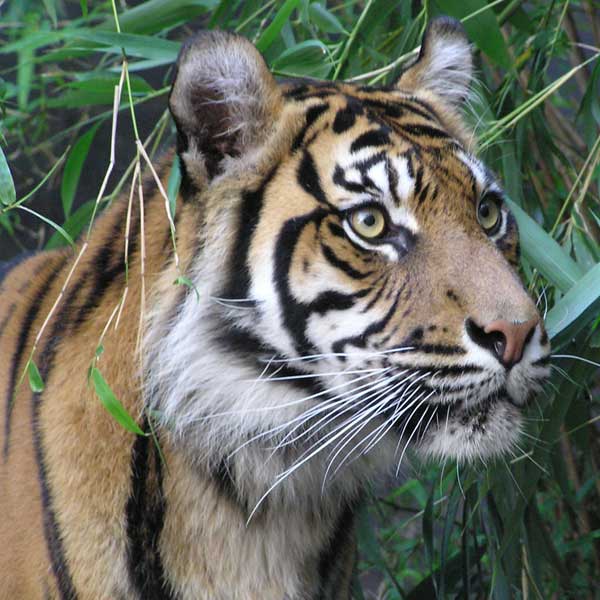 What Can You Do With a Wildlife Biology Degree?