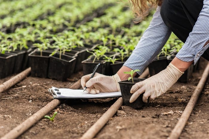 How Experiential Learning in Environmental Masters Programs Develops the Problem Solvers of Tomorrow