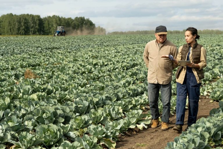 Sustainable Food Systems