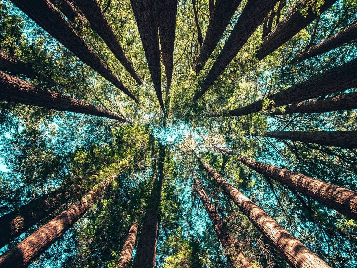 unity-college-parks-forest-resources