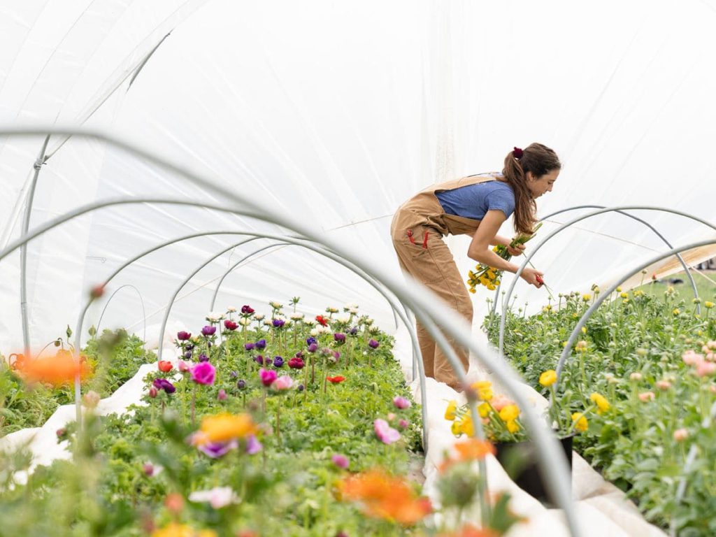 Immersive Learning Where Students Are