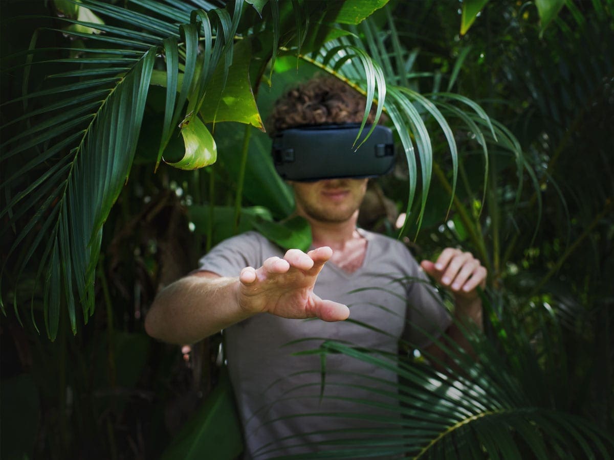 unity-college-virtual-nature