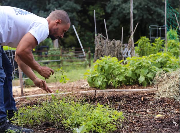 unity-three-fall 2-1