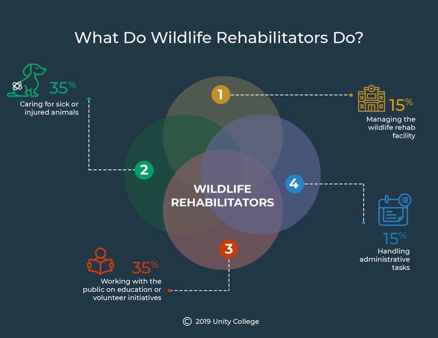 what does a wildlife rehabilitator do?