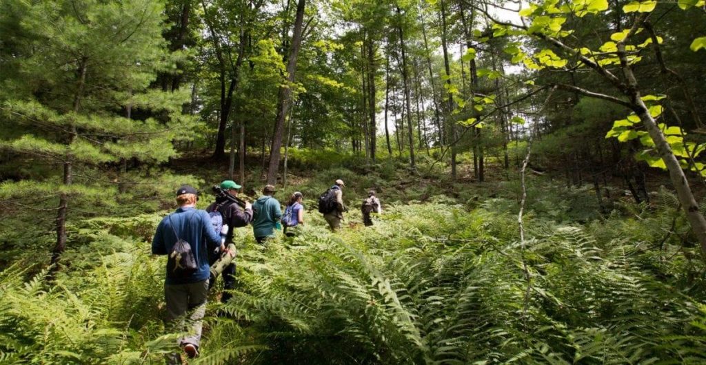 How Environmental Studies Vs Environmental Science Differ
