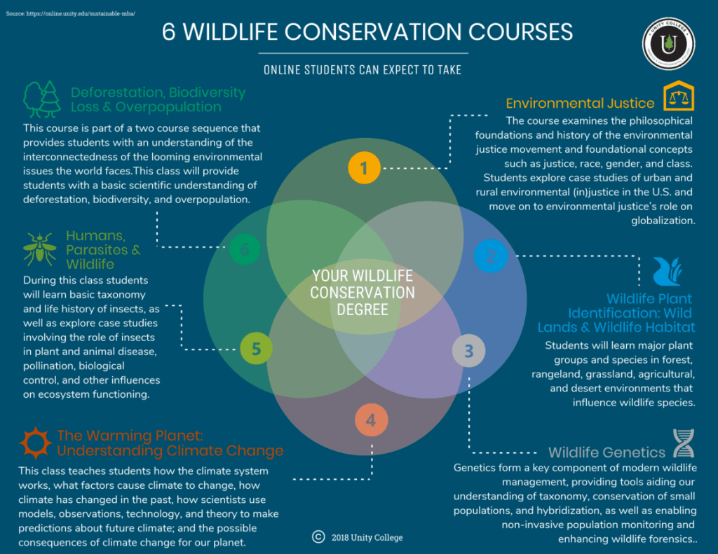 venn diagram of courses for wildlife conservation degree