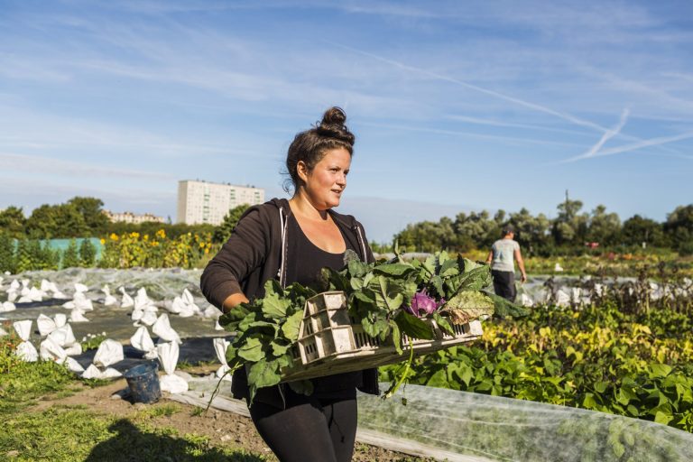 Women working on allotment