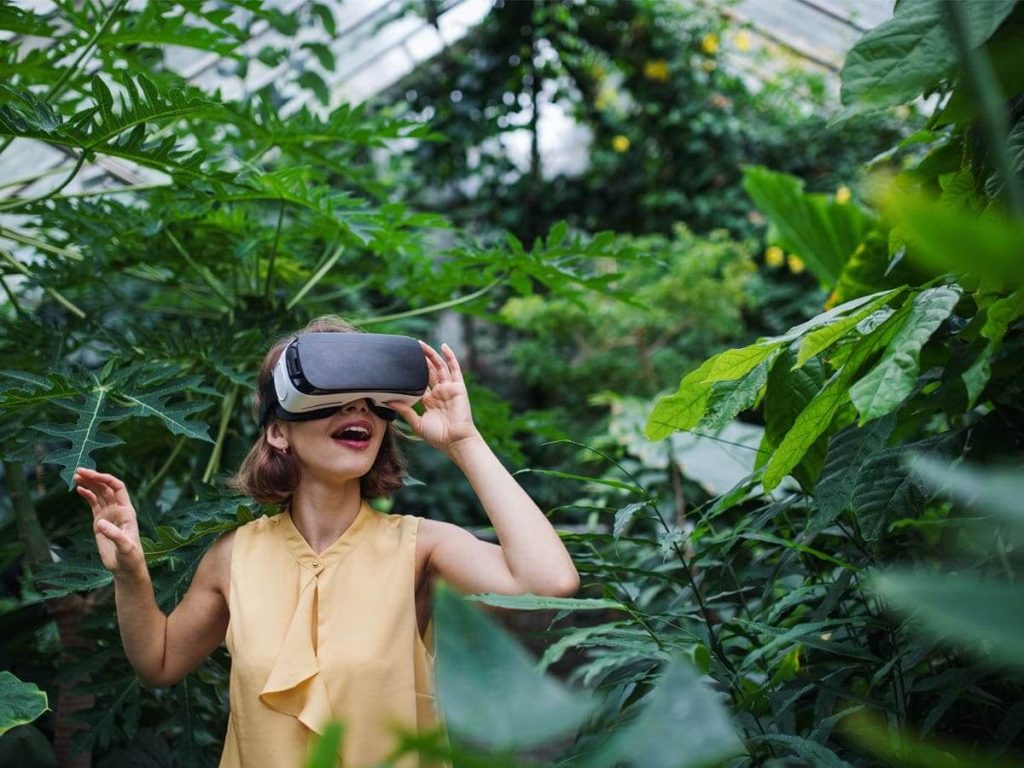 Extended Reality (XR)