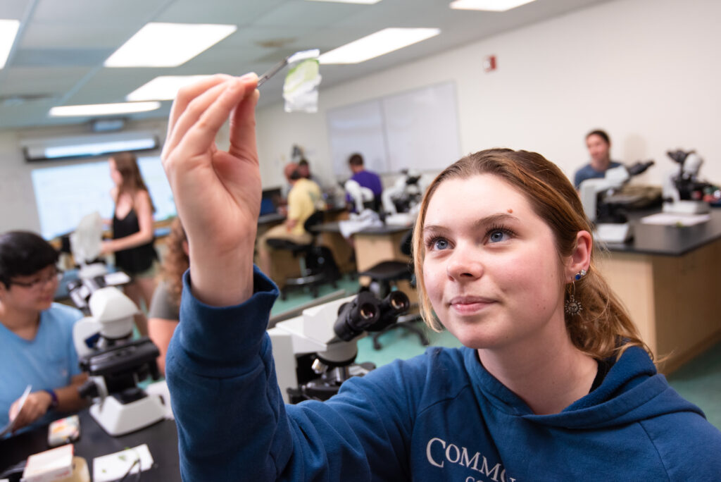 0494_Unity-2019.10_2204-1024×684