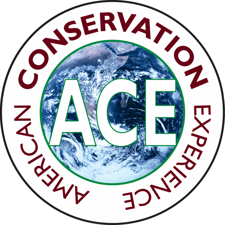 130051096_ace_logo_no_border3.5m_png_circle_5