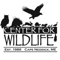 130051097_center_for_wildlife-250×250