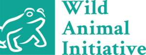 153467119_logo_wai-300×113 (1)