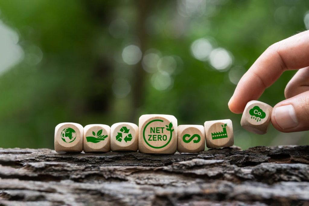 Net Positive vs. Net Zero: Why Climate-Ready Businesses Are Shifting Goals