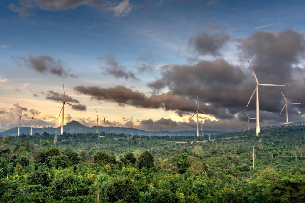 Understanding Carbon Offsets’ Role in Climate Action