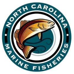 58438742_ncdmf_logo-250×250