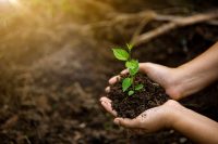 Environmental Science vs. Ecology — Unity Environmental University