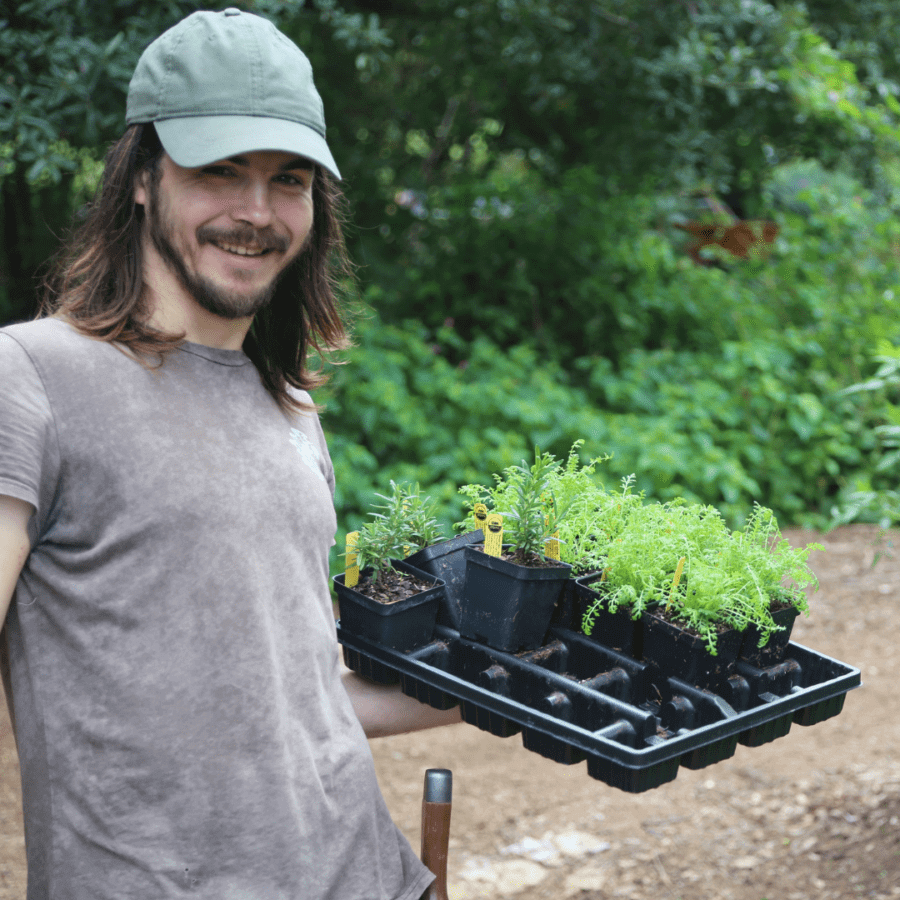 Man holding plants in a food forest.