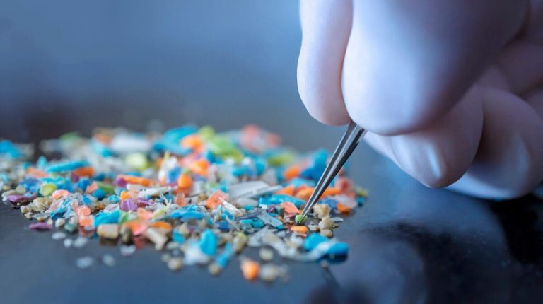 What Are Microplastics In The Ocean? How We Can Combat It
