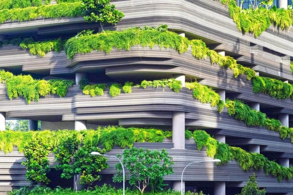 What Is Sustainability, And Why Is It Important?