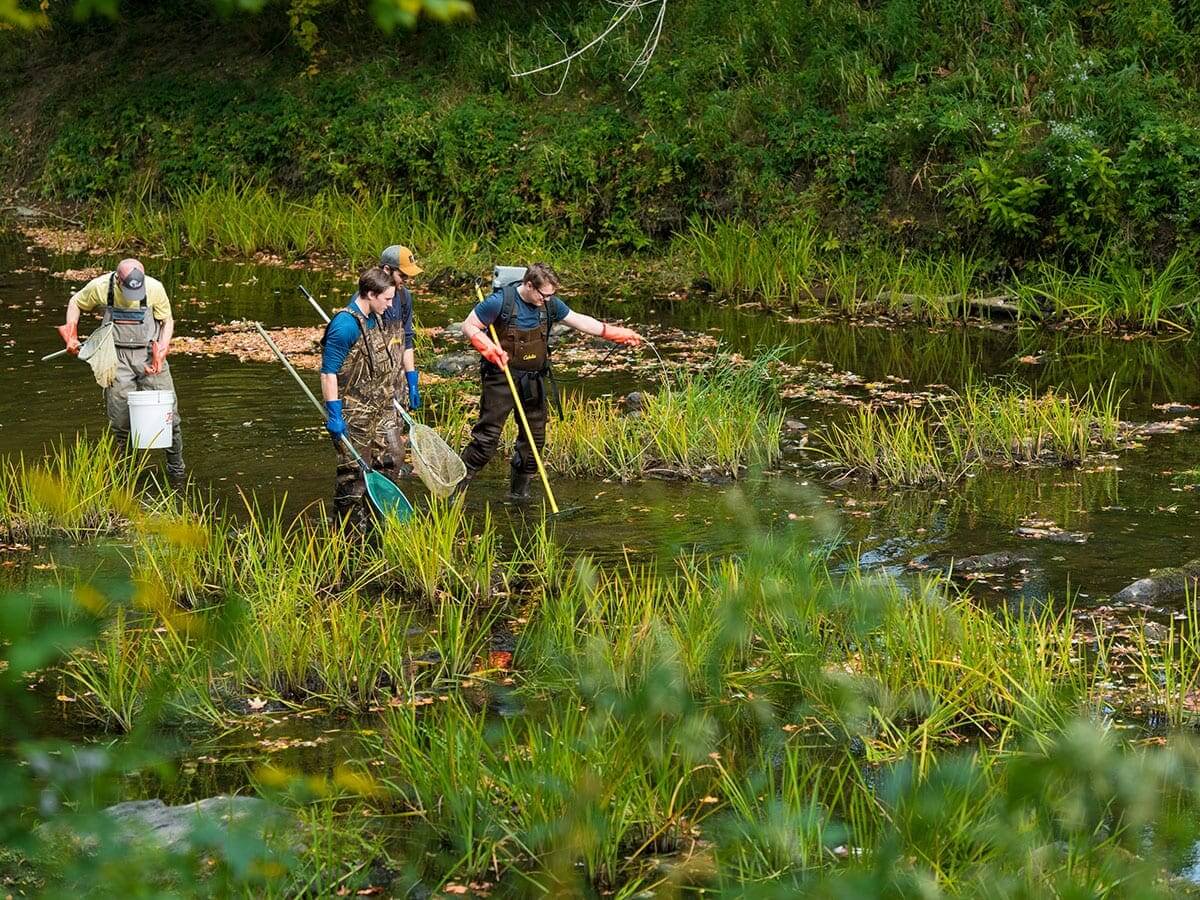 three people performing research in a wetland